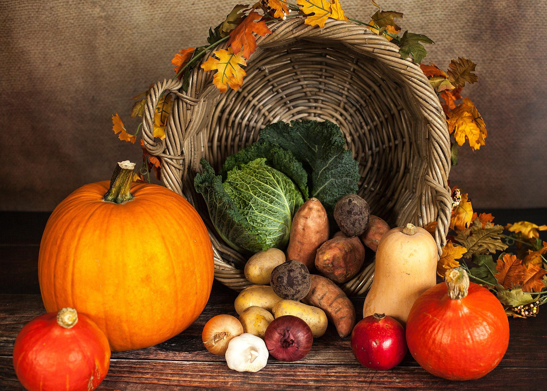 pumpkin-g57da3e7d7_1920